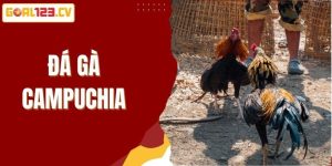 Đá gà Campuchia Goal123
