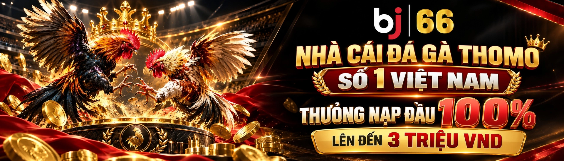 banner bj66 tech